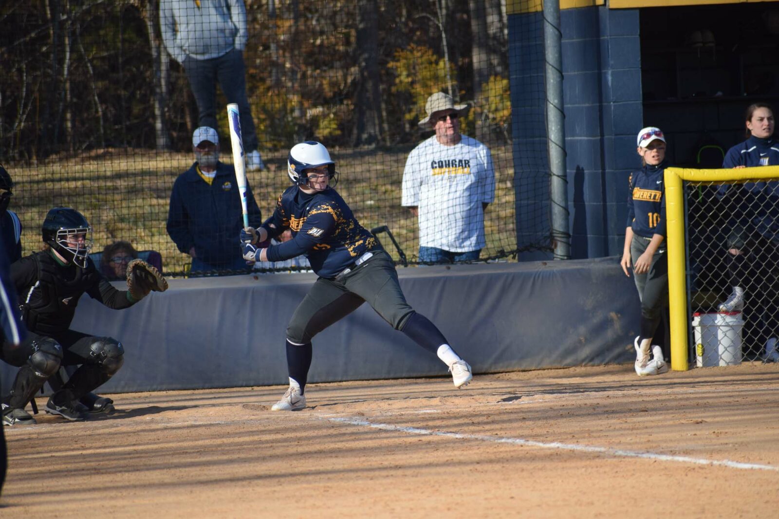 Softball Batting Power: 5 Ways to Increase It