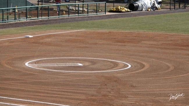 how much do pro softball players make
