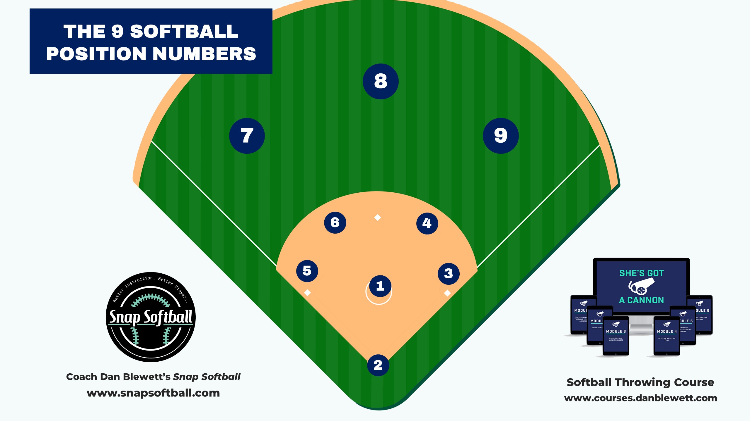 softball position numbers chart