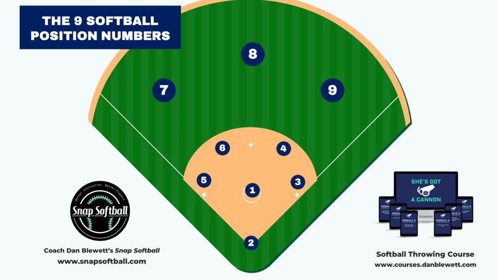 softball positions numbers