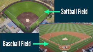 Pro Player Explains Key Differences in Softball vs Baseball